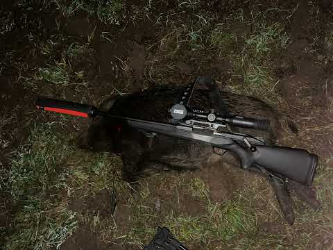 Nattjakt efter vildsvin, December 2025-12-10 HIKMICRO STELLAR 3.0 SQ50L Termiskt sikte