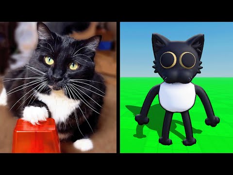 I Taught My Cat How to Play Roblox