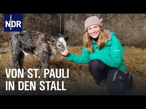 Wir wagen Bauernhof I Folge 1 I Die Nordreportage | NDR Doku