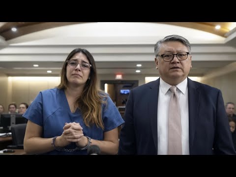 Judge Stephanie Boyd DESTROYS Defendant Facing a Life in Prison