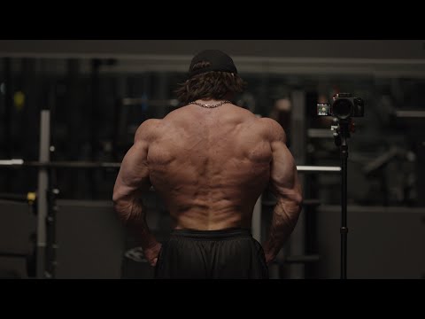 Cutzilla Day 123 - Putting up the Christmas Tree