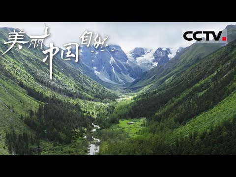 【ENG】香格里拉 这里是离天堂最近的地方 这辈子一定要去香格里拉看看《美丽中国自然》三江并流系列【CCTV纪录】