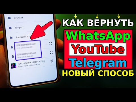 NO VPN 👉 How to bypass WhatsApp, YouTube, and Telegram blocking with WARP! How to use Telegram an...