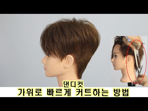 댄디컷 가위로 빠르게 커트하는 방법 입니다.