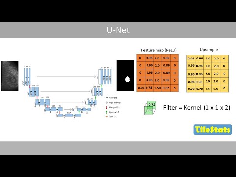 U-Net clearly explained | Image Segmentation with AI