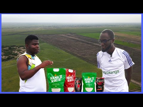 How A Young Ghanaian Left America & Now Owns 10,000 Acres Rice Farm