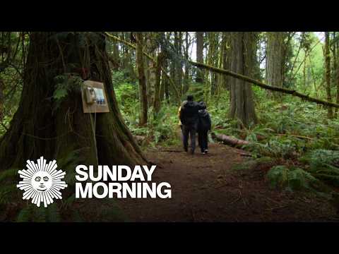 Going off the grid and finding peace