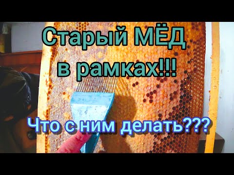 Мёд сел в сотах! Что с ним можно сделать, несколько робочих вариантов.