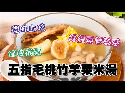 五指毛桃竹芋粟米湯 ｜秋日湯水｜健脾補氣｜潤肺止咳｜舒緩氣管敏感