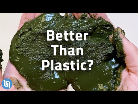 Why Algae Could be the Plastic of the Future #TeamSeas