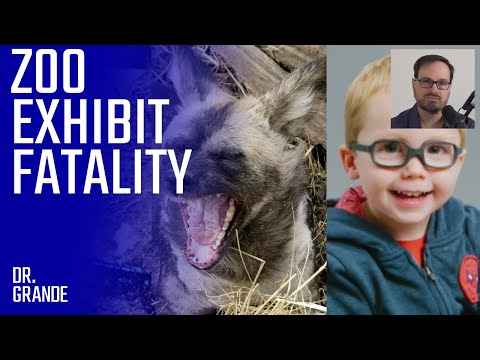 Mother's Misjudgment at Zoo's Wild Dog Exhibit Leads to Disaster | Maddox Derkosh Case Analysis