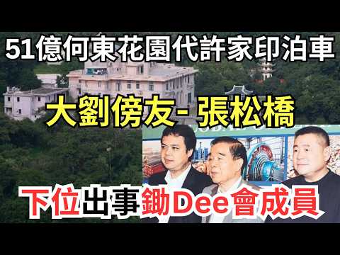 「重慶李嘉誠」張松橋鋤Dee鋤到住山頂,「代許家印泊車」手尾多