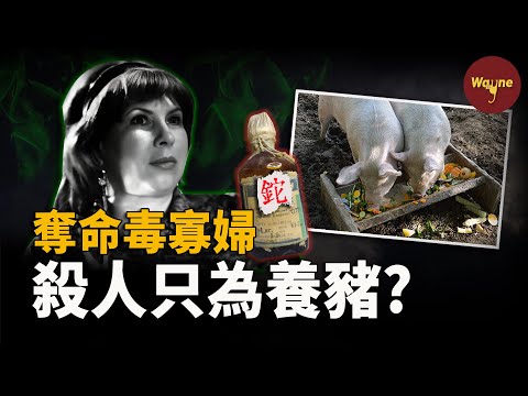 枕邊人接二連三去世，最後索性在學校策劃了一場致命午餐，而這一切竟是為了養豬？蘇聯時期讓人聞風喪膽的劇毒黑寡婦到底是何來歷？ | Wayne調查
