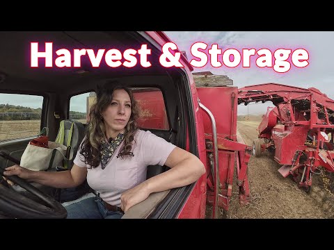 Potato Harvest & Storage 2024