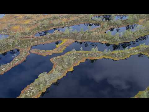 Häckelsängs högmosse och Gnagmur Naturreservat