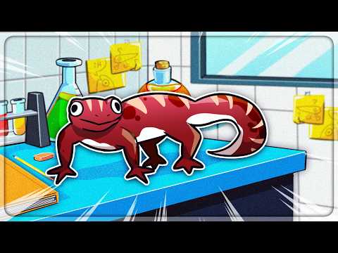 I Genetically Engineered RARE Geckos in GeckoShop