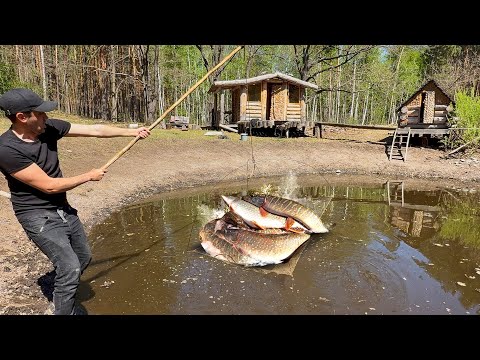 Просто ШОК! Сколько здесь щуки, в пересохшем пруду. Ловля неводом и на паук
