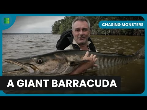 Canoe vs. Crocodiles - Chasing Monsters - S05 EP503 - Fishing Show