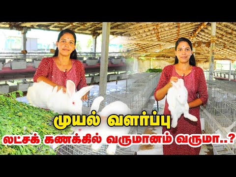 முயல் வளர்ப்பு லாபகரமான தொழிலா? A To Z  விளக்கும் ஈரோடு பெண் | Rabbit Farm