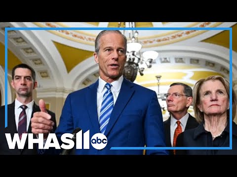 Senate races to strike DHS deal as airport delays worsen amid shutdown