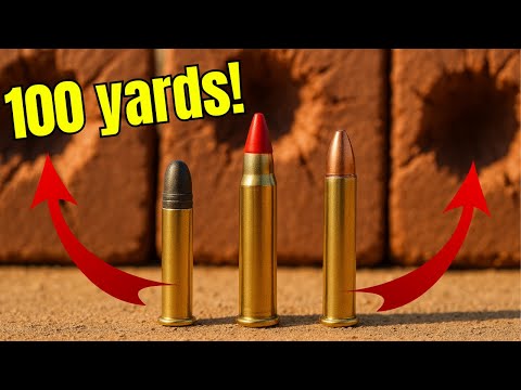 22LR vs 17 HMR vs 22 MAG: Never Would’ve Guessed