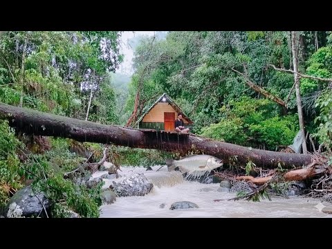 Saya membangun perkemahan exstrim,saat hujan deras dan mancing untuk bertahan hidup, solo camping