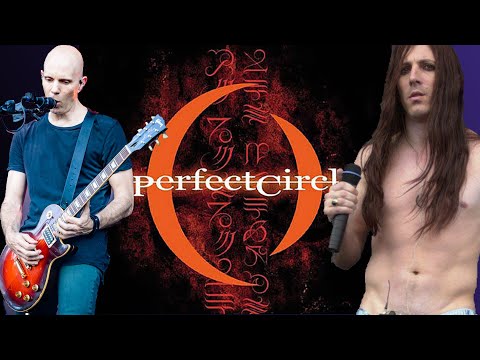 Early Days of A Perfect Circle and Mer De Noms Were Crazy