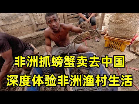 非洲抓螃蟹卖去中国?深度体验马达加斯加渔村生活,龙虾海鲜吃到撑!