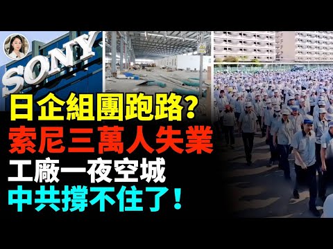 Capital flight! Production lines are moving to Southeast Asia, with outrageously high compensatio...