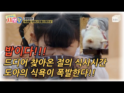 내 아이의 사생활 제 29화 (2편) : 식사시간이다!!! 드디어 찾아온 식사시간, 도아의 식욕이 폭발한다!! #내아이의사생활 #02hby