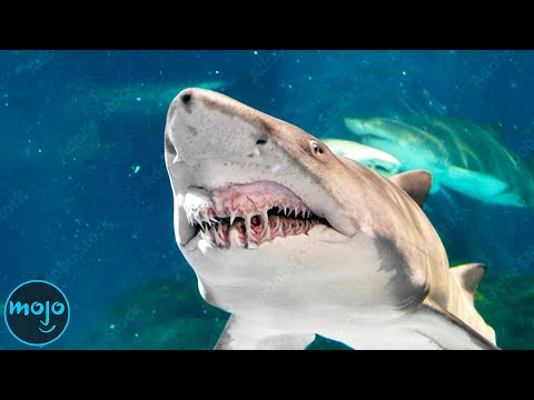 Top 30 Most Dangerous Creatures In The Ocean