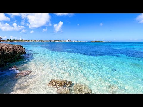 Ocean Waves For Happy Days