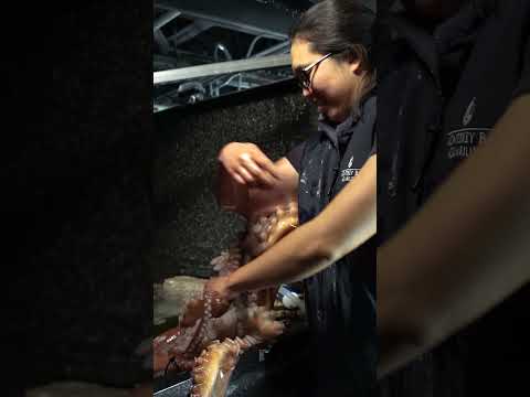 Why Do Octopus Suckers Stick so Well? | #DeepLook #Shorts