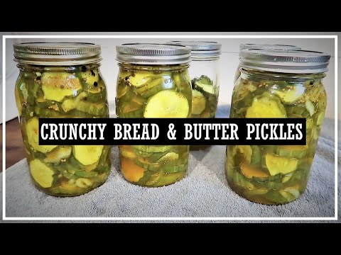 Crunchy Bread & Butter Pickles//Pickle Recipe//Sweet Pickles//Sweet and Spicy Pickles