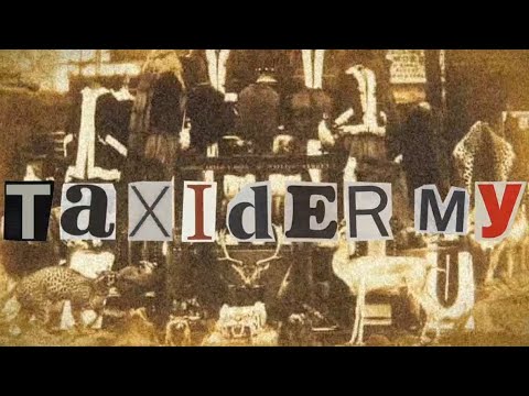 A Brief History of Taxidermy