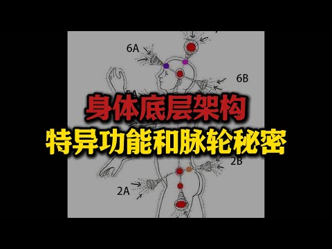 揭秘身体底层架构，脉轮和特异功能的秘密#实修#神通#特异功能#脉轮