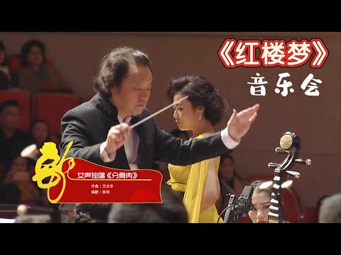 《红楼梦》音乐会 永远的红楼梦