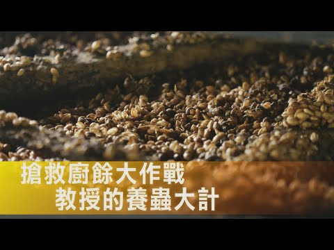 [Yilan] "Nobody is actually somebody": Retired Red Imported Fire Ant Expert Promotes Black Soldie...