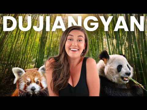 We Found China's 'HIDDEN' Panda Paradise! π¨π³ (Better Than Chengdu)