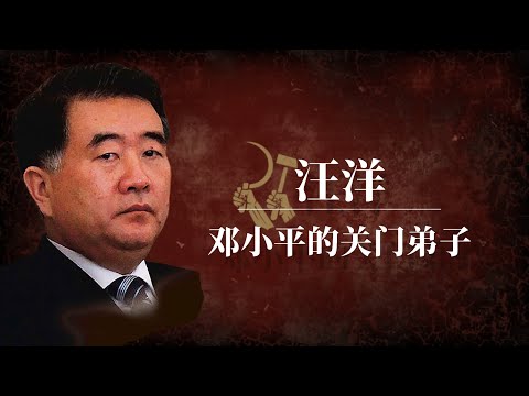 汪洋：邓小平的关门弟子｜非团派汪洋：改革派的余晖｜李克强｜胡春华｜习近平｜汪洋近况｜汪洋现状｜汪洋是什么派｜汪洋哪去了｜团派代表人物｜团派有哪些人｜团派兴衰录｜团派人物｜团派还有谁｜团派最后的王