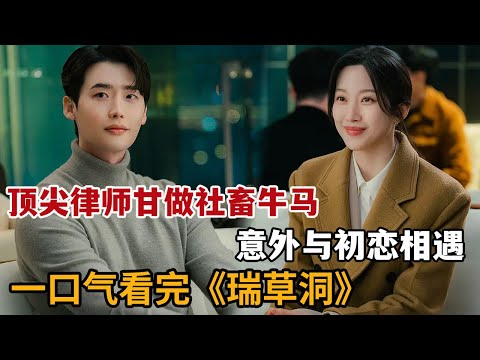 一口气看2025热播韩剧，顶尖律师甘做社畜牛马，意外发现热血新人竟是自己初恋《瑞草洞》大合集