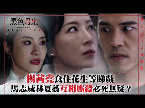 黑色月光｜楊茜堯食住花生等睇戲 馬志威林夏薇互相廝殺必死無疑？｜楊茜堯 王浩信 林夏薇 馬志威 郭鋒｜第二十三集劇集劇情 #TVB #黑色月光 #楊茜堯 #港劇 #復仇爽劇