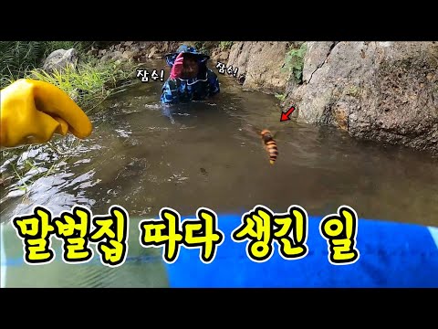 말벌집 퇴치하다 물에 잠수한 이유...위급상황일땐 이렇게 하세요!