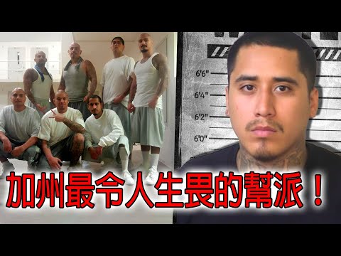 Fresno Bulldogs 加州街頭的王者！連販毒集團都畏懼的街頭幫派！加州黑帮的惊人真相 专家揭露帮派文化秘密 為什麼鬥牛犬幫能屹立不倒？幫派生存之道大公開