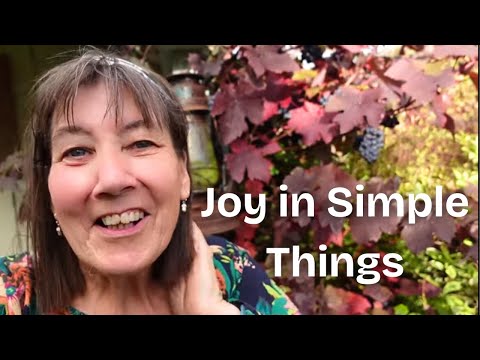 A Surprising Harvest and Who Has Been in My Polytunnel?