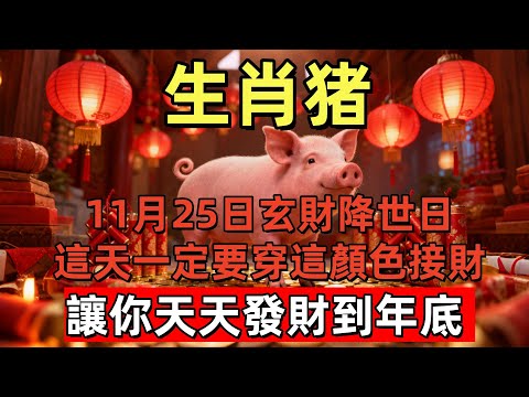 生肖猪，明天11月25日，農曆十月初六是「玄財降世日」，這天一定要穿這顏色接財！讓你天天發財到年底！#玄运生肖#屬相運勢#生肖#家運#手寫#生肖運勢的那些事#先知#風水變化#提升運勢