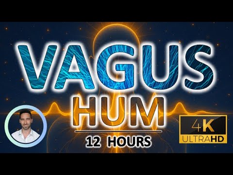 Calming Vagus Nerve Sleep Hum | Deep Nervous System Relaxation Tones for Rapid Sleep | 12 Hours