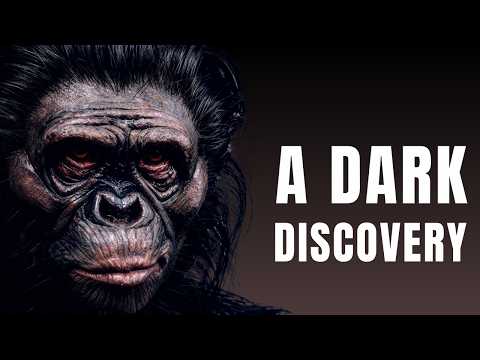 Lucy’s Dark Secret: New Australopithecus Evidence Breaks The Old Theory