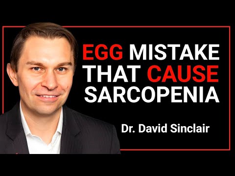 Over 60? Don’t Eat Eggs Like This! 7 Mistakes Seniors Must Stop || DR. DAVID SINCLAIR HEALTH TIPS