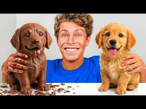 CHOCOLATE or REAL Challenge!